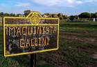 #Provinciales: Maquinista Gallini tiene su mes de origen 