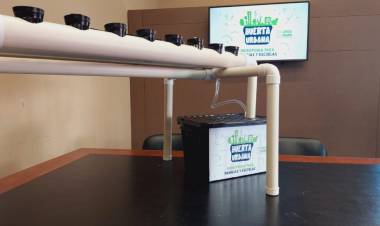 JESUS MARIA: más de 40 familias accederán a los kits de hidroponia