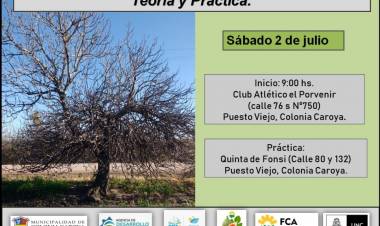 COLONIA CAROYA: TALLER SOBRE PODA DE HIGUERAS