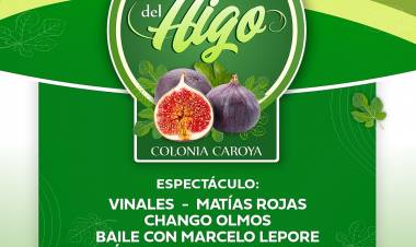 COLONIA CAROYA: YA LLEGA LA SEXTA EDICIÓN DE LA FIESTA PROVINCIAL DEL HIGO