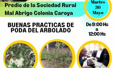 #ColoniaCaroya : CURSO DE PODA EN FORESTALES URBANOS