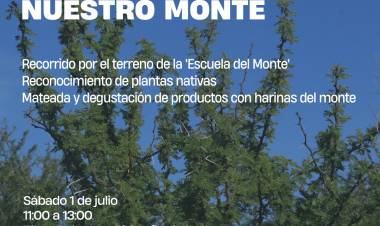 #Sinsacate : Jornada para explorar el bosque nativo y conocer el proyecto Escuela del Monte