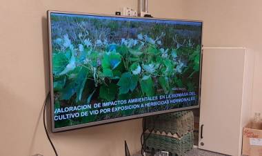 #ColoniaCaroya : CHARLAS EN COLEGIOS SOBRE LA VID Y EL IMPACTO AMBIENTAL