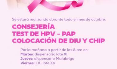 #ColoniaCaroya : OCTUBRE ES “CAROYA ROSA” 