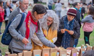 #Sinsacate : Nutrida agenda para vacaciones de invierno