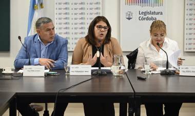 #PROVINCIAL : Legisladores avanzaron en un proyecto para regular la profesión de la obstetricia