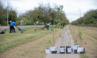 #SINSACATE : compartió su experiencia en el 15º Congreso de la Red Argentina del Paisaje