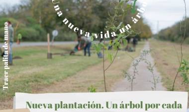 #SINSACATE - Plantación participativa: Una nueva vida  un árbol