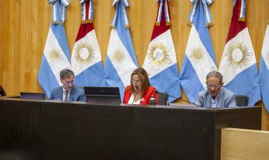 #Provinciales: La Legislatura aprobó una ley para regular la actividad profesional de la obstetricia