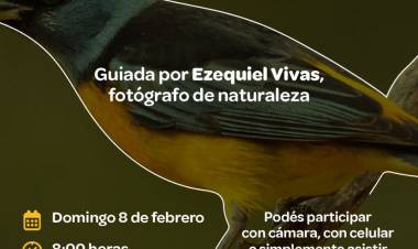 #JESUSMARIA: Safari Fotográfico: edición aves silvestres en el Parque del Oeste