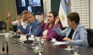#PROVINCIAL : Aval de comisión para declarar la emergencia sanitaria en la especialidad de Anestesiología
