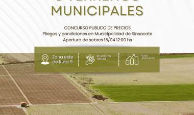 #SINSACATE: Venta de 6 Terrenos Municipales en Sinsacate