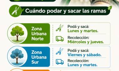 #COLONIACAROYA : Inicia el período de poda: cómo hacer el trámite y qué días podar
