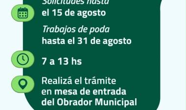 #JESUSMARIA: Continúa la temporada de poda en Jesús María