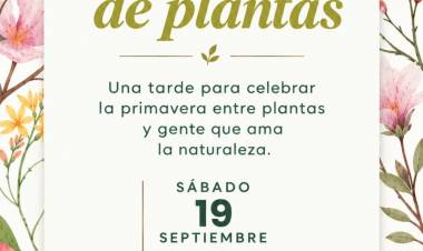 SINSACATE: Sintra se viste de primavera con una fiesta para los amantes de las plantas