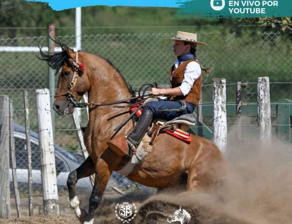 #JESUSMARIA : Finales Nacionales 2025 de Caballos Criollos