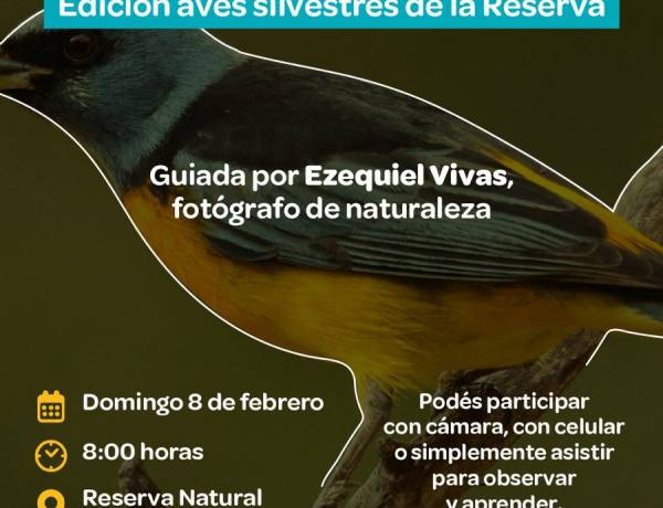 #JESUSMARIA: Safari Fotográfico: edición aves silvestres en el Parque del Oeste