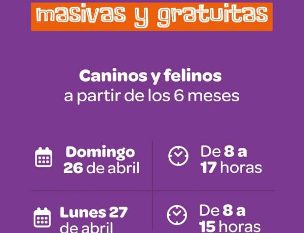 #JESUSMARIA -  realizará jornadas masivas de castración para perros y gatos