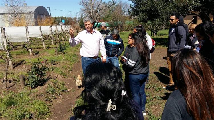 COLONIA CAROYA : BICITOUR POR LOS CAMINOS DEL VINO