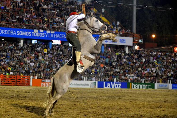 #JesusMaria : Encefalomielitis equina, la palabra de la Comisión del Festival de Doma y Folklore