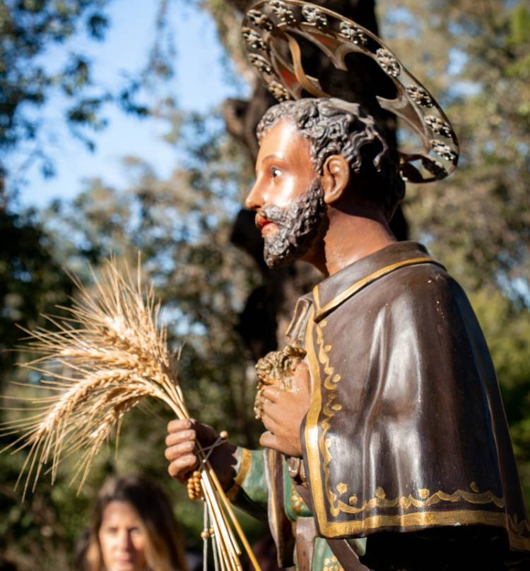 #Sinsacate : Celebración en honor a San Isidro Labrador
