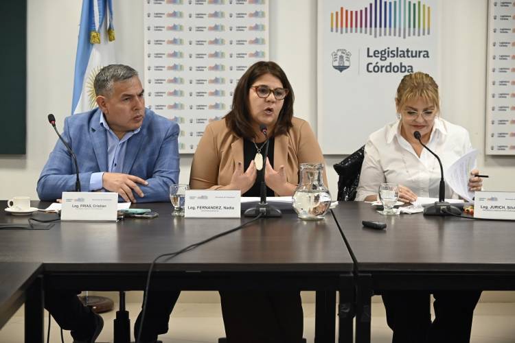 #PROVINCIAL : Legisladores avanzaron en un proyecto para regular la profesión de la obstetricia