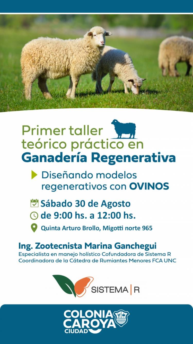 #COLONIACAROYA : Taller en Ganadería regenerativa