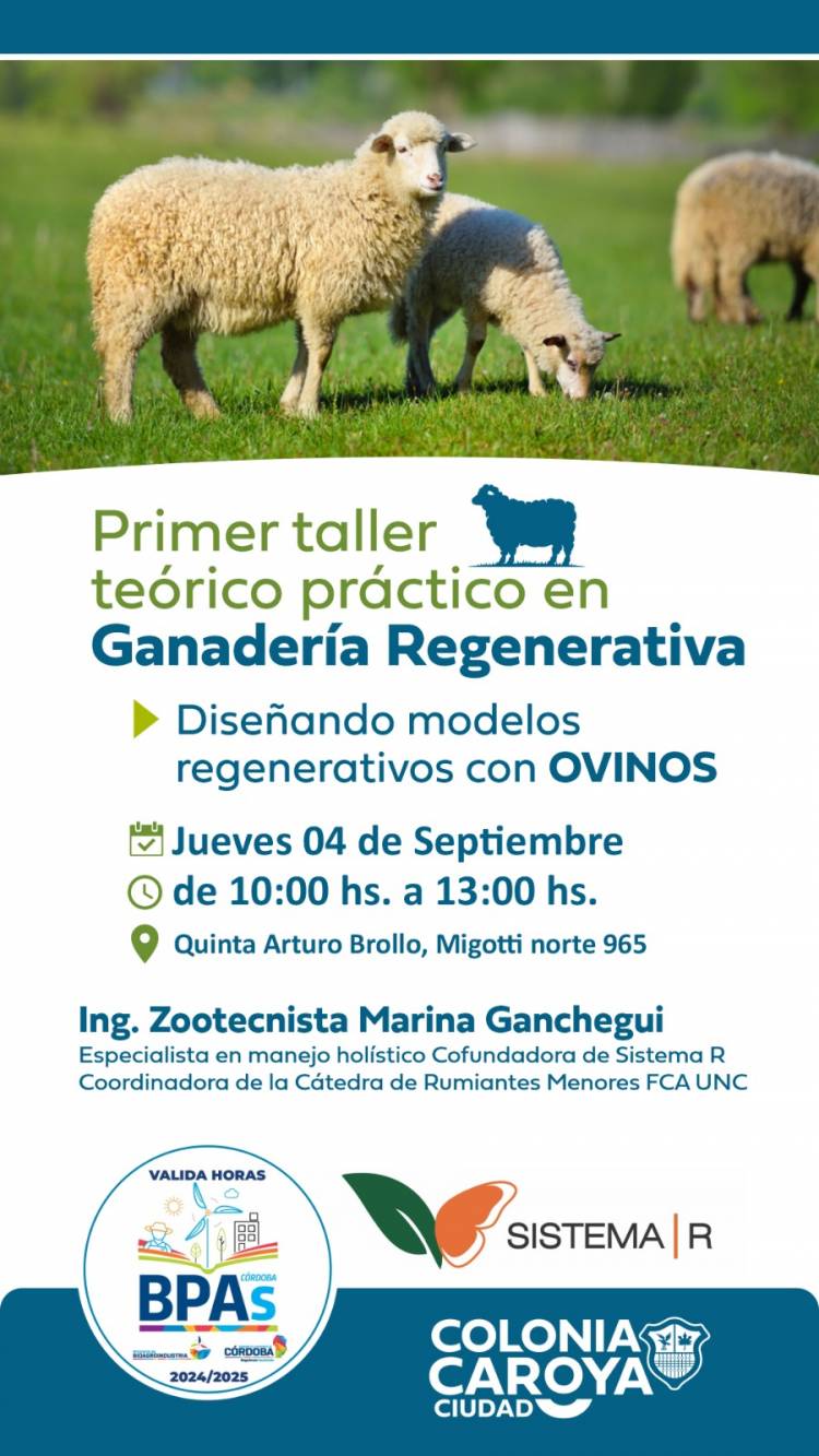 #COLONIACAROYA : Taller en Ganadería regenerativa
