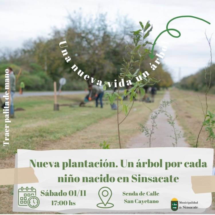 #SINSACATE - Plantación participativa: Una nueva vida  un árbol