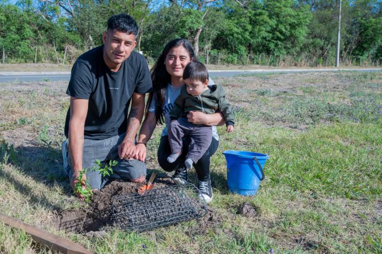 #Sinsacate:  Plantamos futuro en Sinsacate