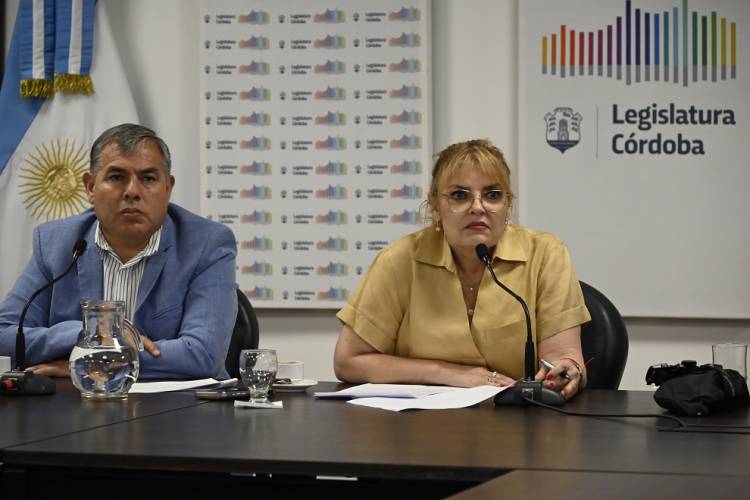 #LEGISLATURA - Aval en comisión para regular la profesión de la obstetricia