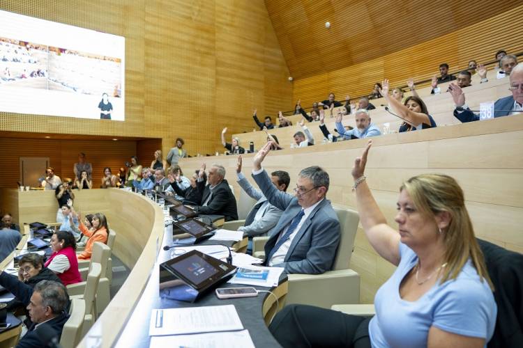 #Provinciales: La Legislatura aprobó una ley para regular la actividad profesional de la obstetricia