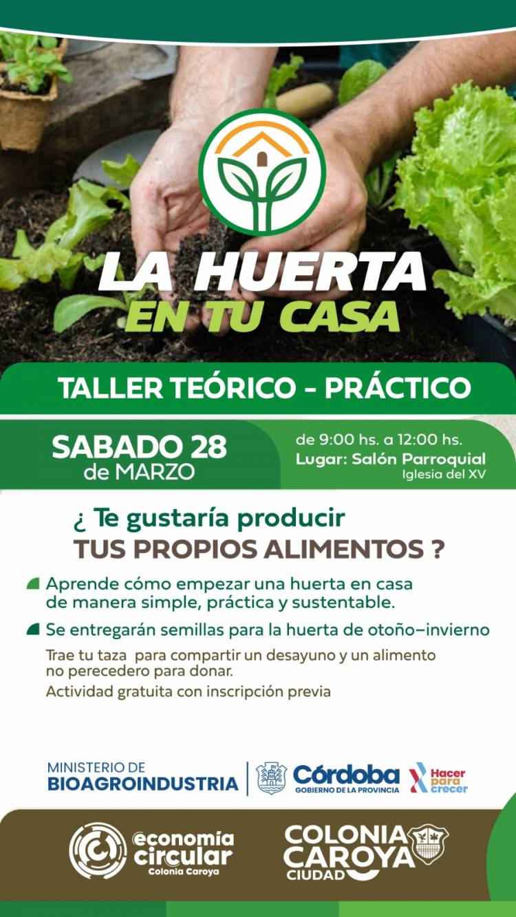 #COLONIACAROYA: La huerta en casa