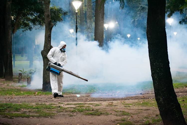 #COLONIACAROYA - La municipalidad de Colonia Caroya inició un Programa Integral de Control de Mosquitos