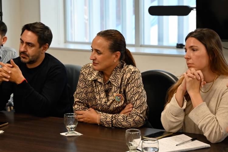 #PROVINCIAL - La Legislatura recibió a referentes de la discapacidad para avanzar en una Ley Antidiscriminatoria