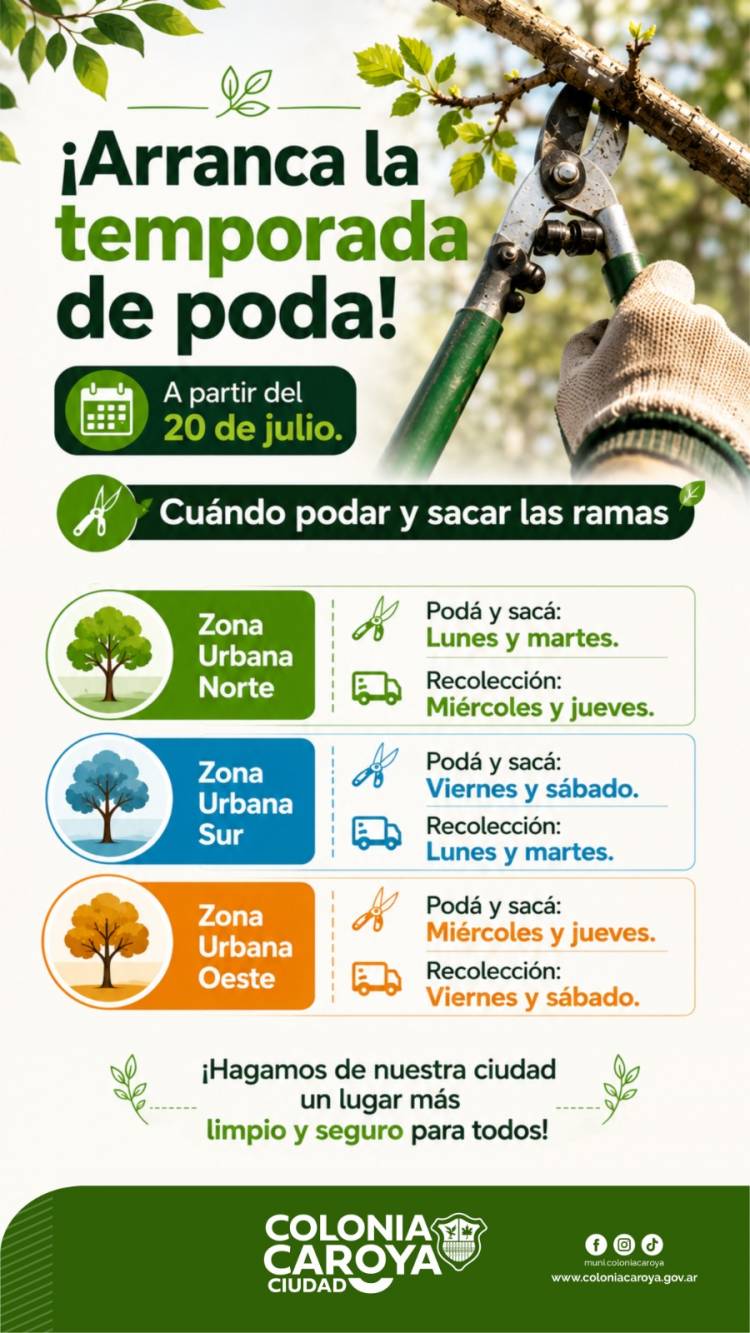 #COLONIACAROYA : Inicia el período de poda: cómo hacer el trámite y qué días podar