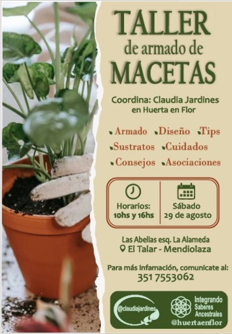 #MENDIOLAZA: Armado de Macetas Desde Cero